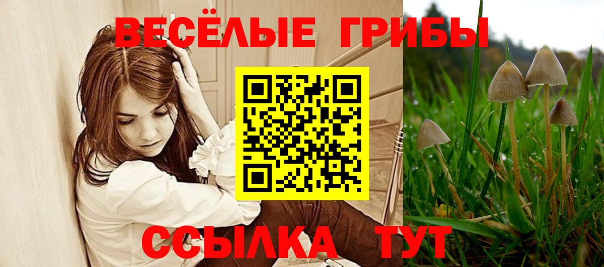 Галлюциногенные грибы мухоморы  Вход с VPN  купить   Киселёвск  Псилоцибиновые грибы мицелий 